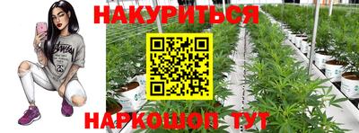 трава Малгобек
