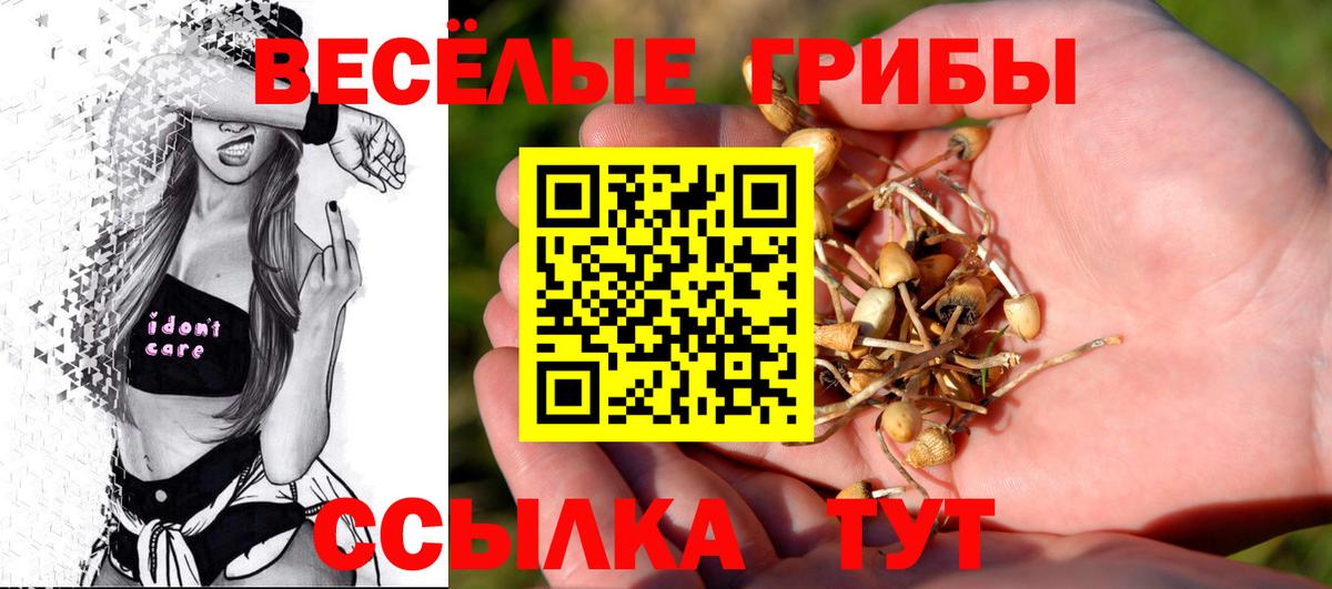 где купить наркотик  Галлюциногенные грибы Psilocybe  Вход с VPN  Псилоцибиновые грибы Cubensis  Дзержинск 