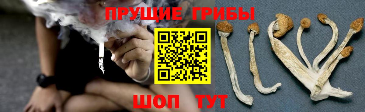 Псилоцибиновые грибы мухоморы Дзержинск